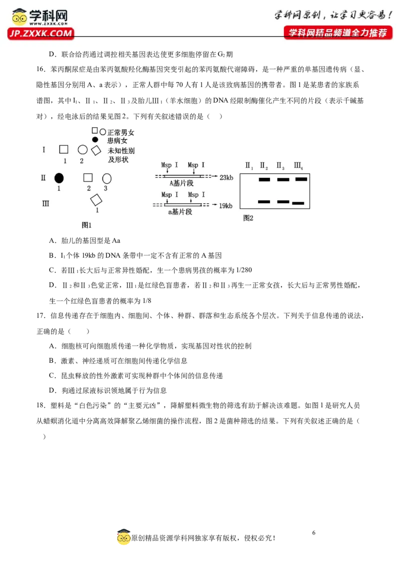 2024年高考冲刺模拟试卷（一）（解析版）_2024年新高考资料_5.2024三轮冲刺_2024年高考生物考前最后冲刺