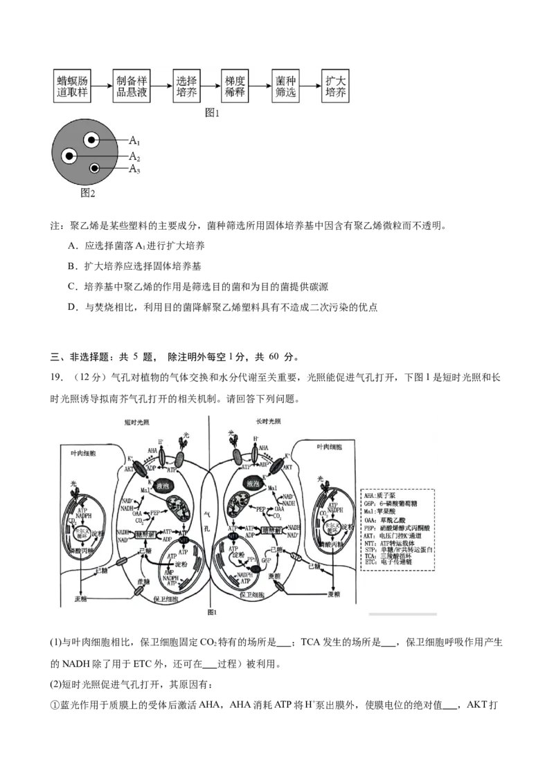 2024年高考冲刺模拟试卷（一）（解析版）_2024年新高考资料_5.2024三轮冲刺_2024年高考生物考前最后冲刺