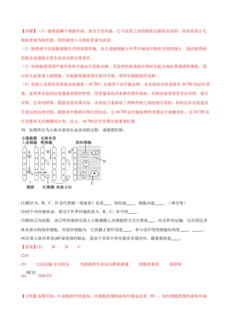 专题25内环境与稳态（解析版)_2024年新高考资料_3.2024专项复习_备战2024年高考生物一轮复习重难点专项突破_专题25内环境与稳态-备战2024年高考生物一轮复习重难点专项突破