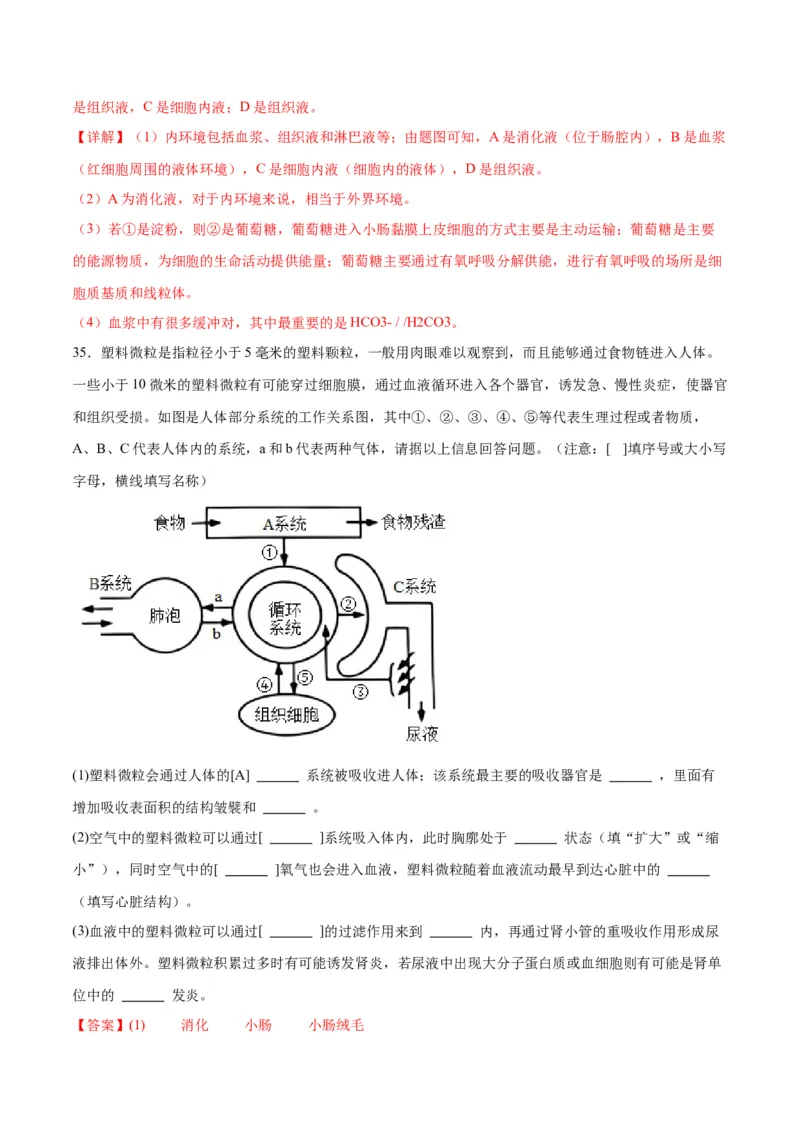 专题25内环境与稳态（解析版)_2024年新高考资料_3.2024专项复习_备战2024年高考生物一轮复习重难点专项突破_专题25内环境与稳态-备战2024年高考生物一轮复习重难点专项突破
