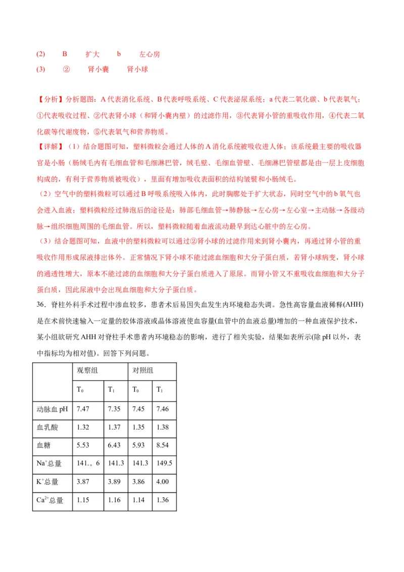 专题25内环境与稳态（解析版)_2024年新高考资料_3.2024专项复习_备战2024年高考生物一轮复习重难点专项突破_专题25内环境与稳态-备战2024年高考生物一轮复习重难点专项突破
