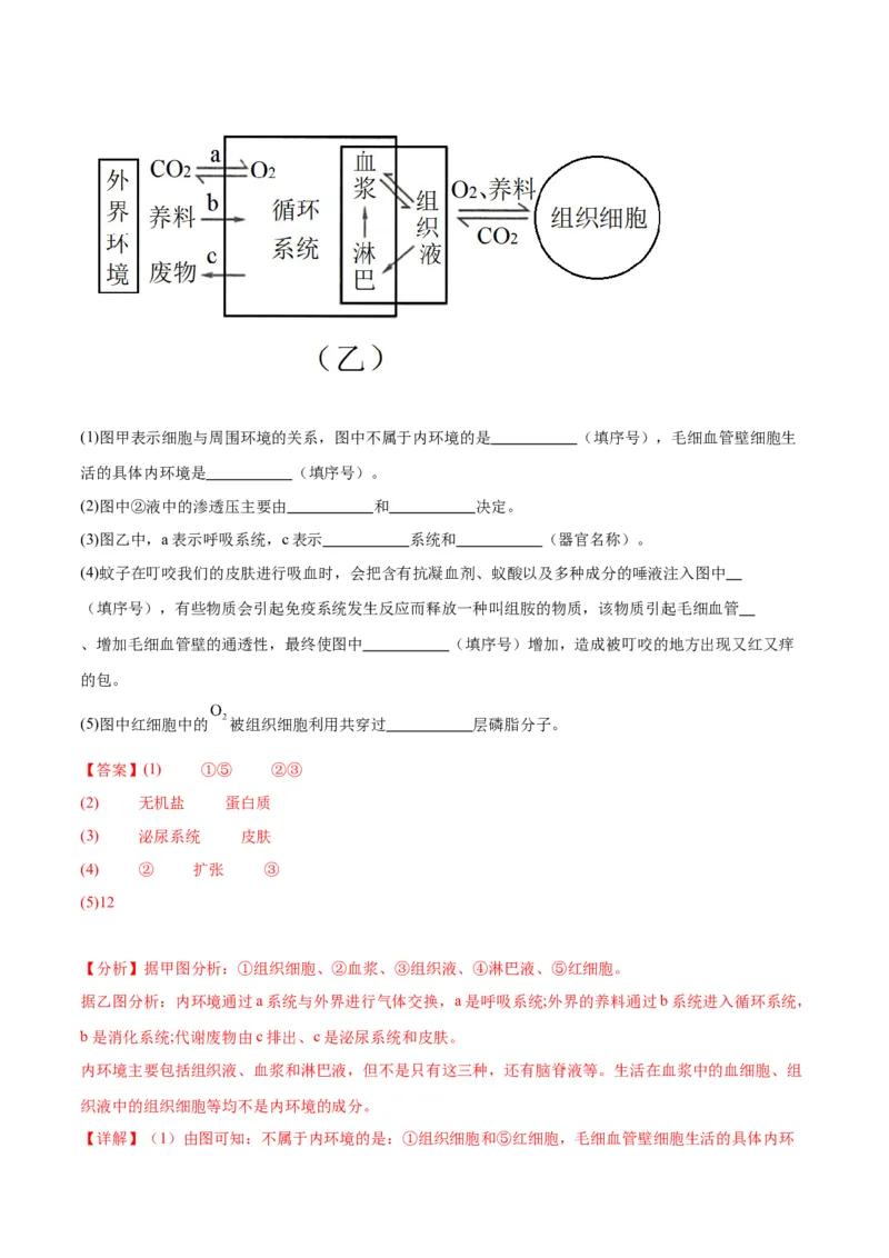 专题25内环境与稳态（解析版)_2024年新高考资料_3.2024专项复习_备战2024年高考生物一轮复习重难点专项突破_专题25内环境与稳态-备战2024年高考生物一轮复习重难点专项突破