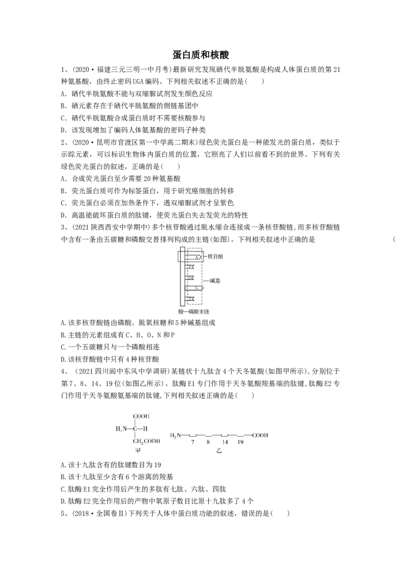 专题03蛋白质和核酸（精练）（原卷版）_2024年新高考资料_1.2024一轮复习_备战2024年高考生物一轮复习串讲精练（新高考专用）