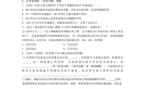 专题03蛋白质和核酸（精练）（原卷版）_2024年新高考资料_1.2024一轮复习_备战2024年高考生物一轮复习串讲精练（新高考专用）