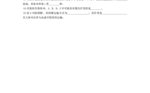 专题03蛋白质和核酸（精练）（原卷版）_2024年新高考资料_1.2024一轮复习_备战2024年高考生物一轮复习串讲精练（新高考专用）