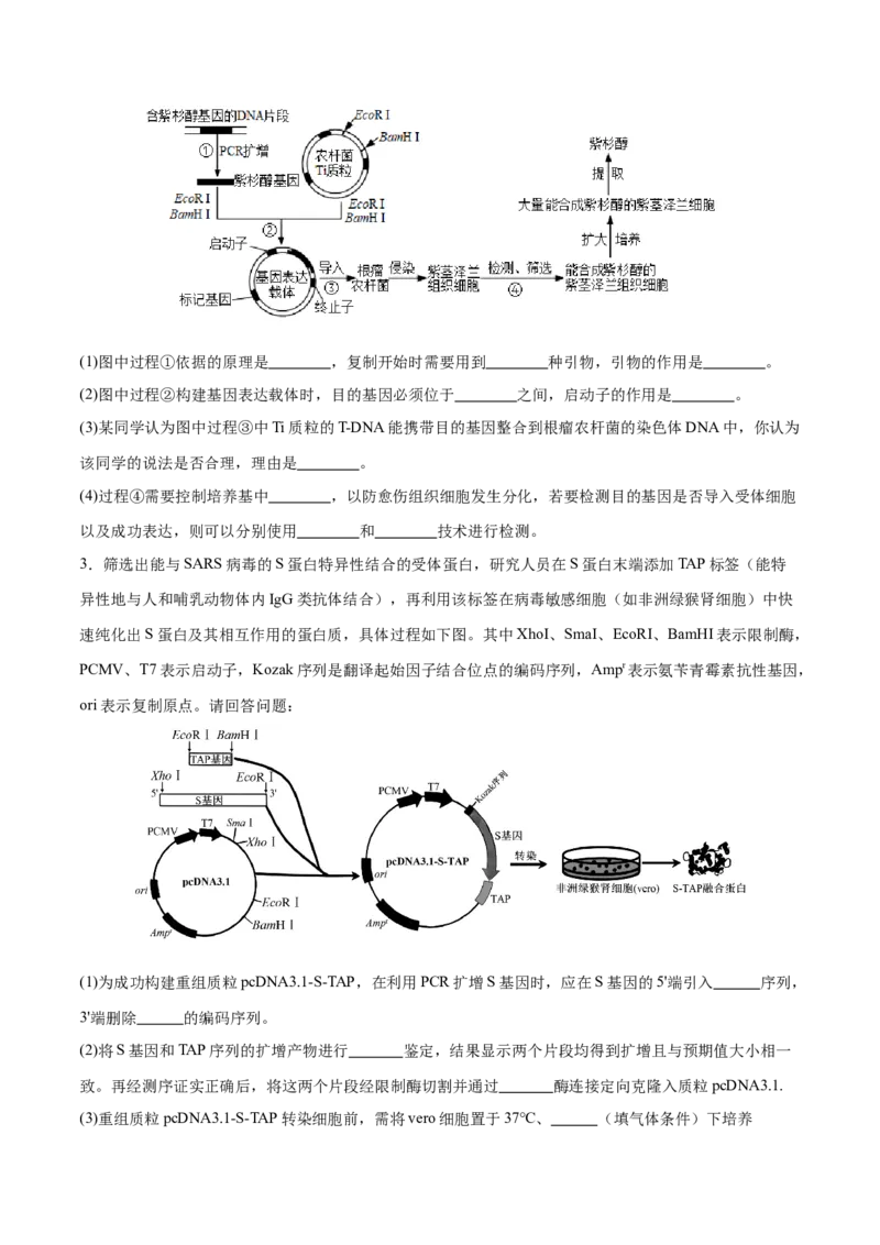押新高考卷生物技术与工程（原卷版）-备战2024年高考生物临考题号押题（新高考通用）_2024年新高考资料_5.2024三轮冲刺_备战2024年高考生物临考题号押题（新高考通用）322745222_728