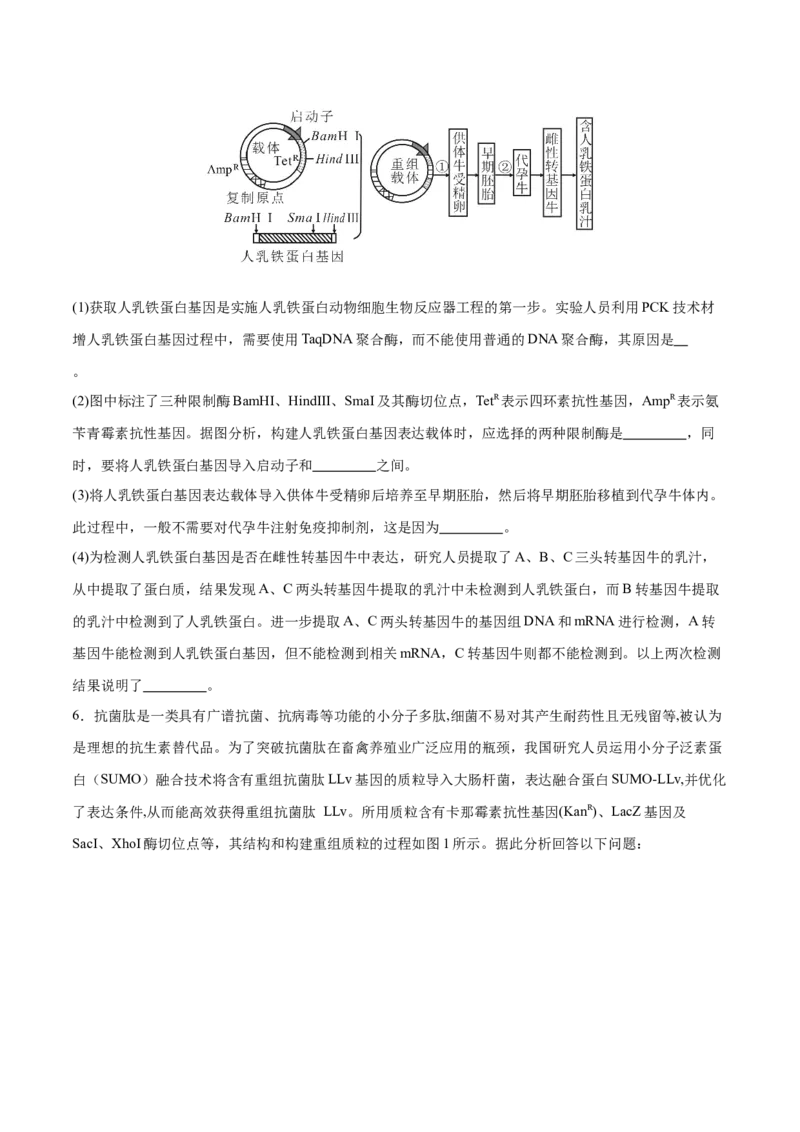 押新高考卷生物技术与工程（原卷版）-备战2024年高考生物临考题号押题（新高考通用）_2024年新高考资料_5.2024三轮冲刺_备战2024年高考生物临考题号押题（新高考通用）322745222_728