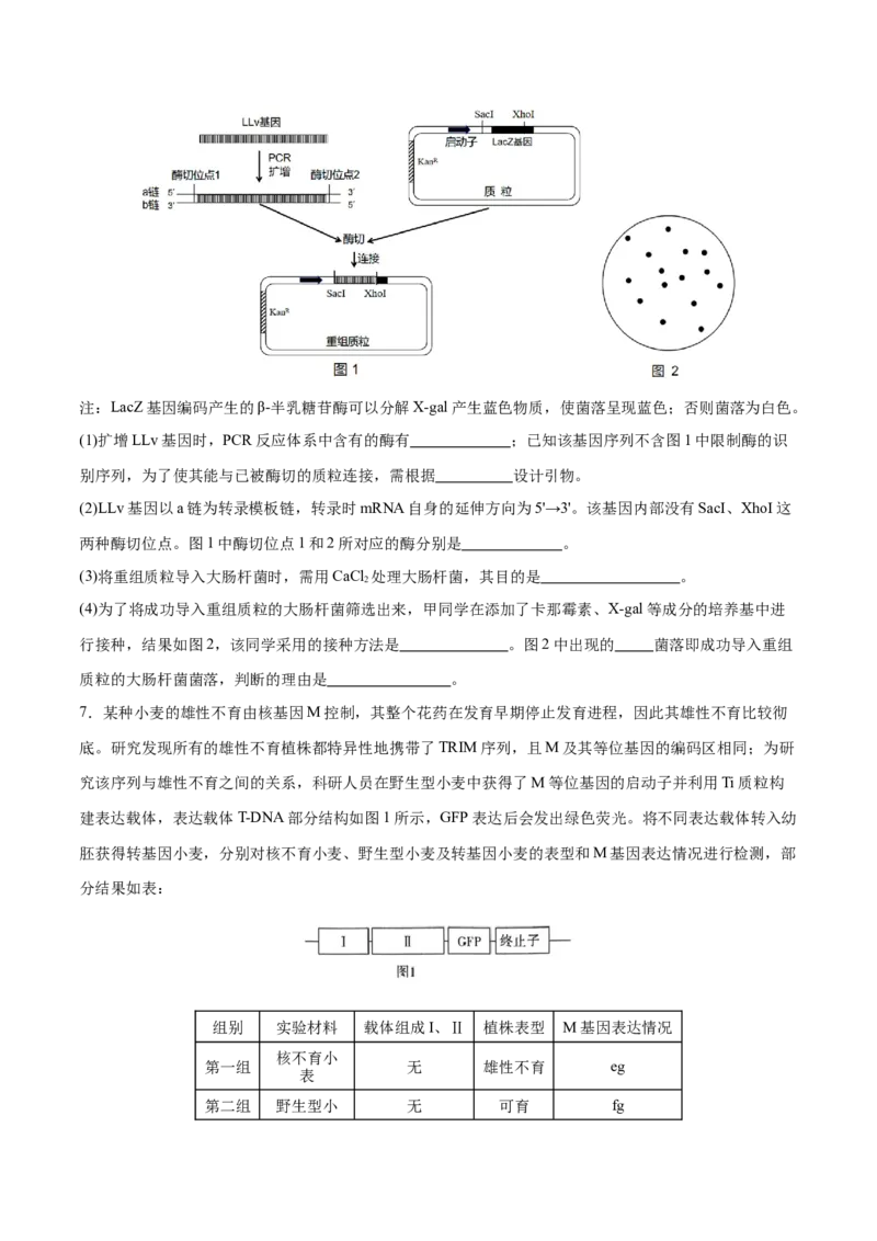 押新高考卷生物技术与工程（原卷版）-备战2024年高考生物临考题号押题（新高考通用）_2024年新高考资料_5.2024三轮冲刺_备战2024年高考生物临考题号押题（新高考通用）322745222_728