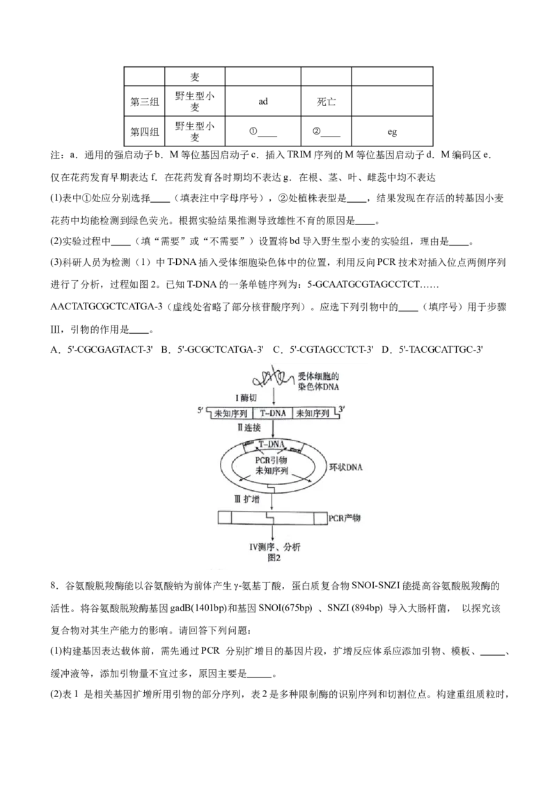 押新高考卷生物技术与工程（原卷版）-备战2024年高考生物临考题号押题（新高考通用）_2024年新高考资料_5.2024三轮冲刺_备战2024年高考生物临考题号押题（新高考通用）322745222_728
