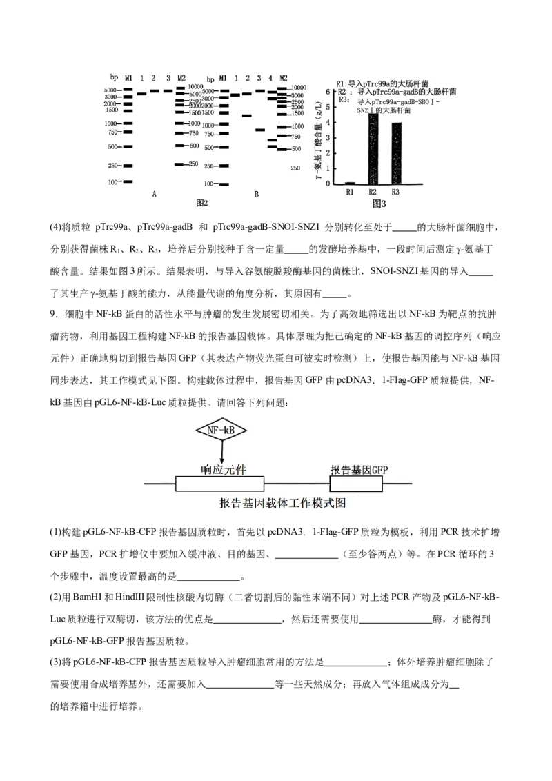 押新高考卷生物技术与工程（原卷版）-备战2024年高考生物临考题号押题（新高考通用）_2024年新高考资料_5.2024三轮冲刺_备战2024年高考生物临考题号押题（新高考通用）322745222_728