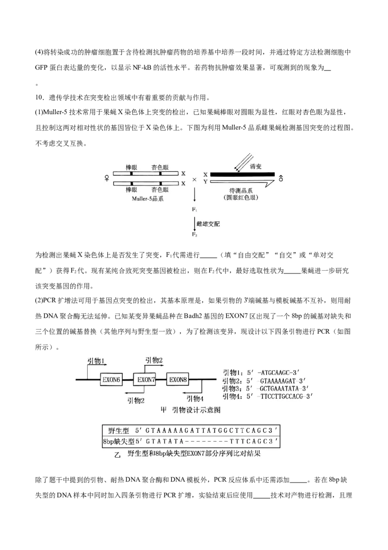 押新高考卷生物技术与工程（原卷版）-备战2024年高考生物临考题号押题（新高考通用）_2024年新高考资料_5.2024三轮冲刺_备战2024年高考生物临考题号押题（新高考通用）322745222_728