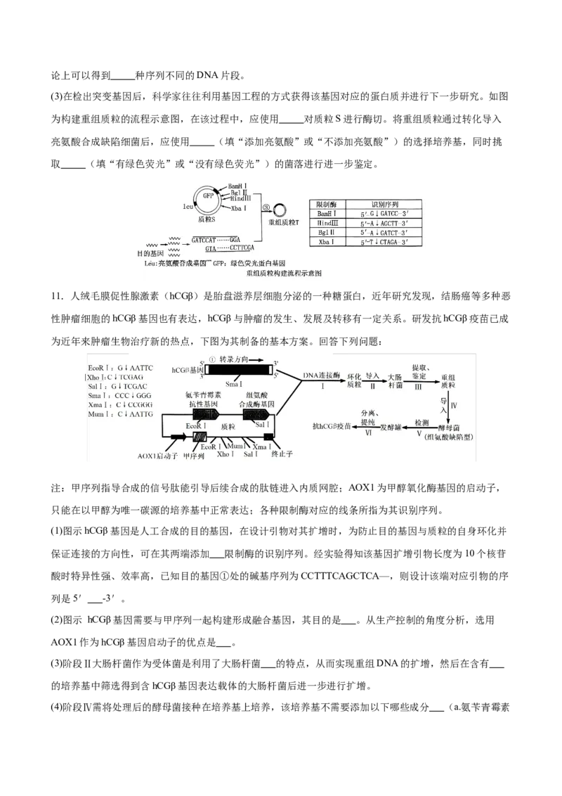 押新高考卷生物技术与工程（原卷版）-备战2024年高考生物临考题号押题（新高考通用）_2024年新高考资料_5.2024三轮冲刺_备战2024年高考生物临考题号押题（新高考通用）322745222_728