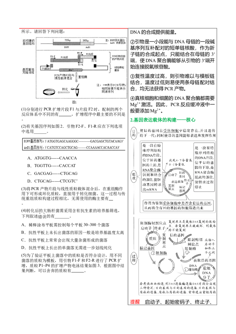 押新高考卷生物技术与工程（原卷版）-备战2024年高考生物临考题号押题（新高考通用）_2024年新高考资料_5.2024三轮冲刺_备战2024年高考生物临考题号押题（新高考通用）322745222_728