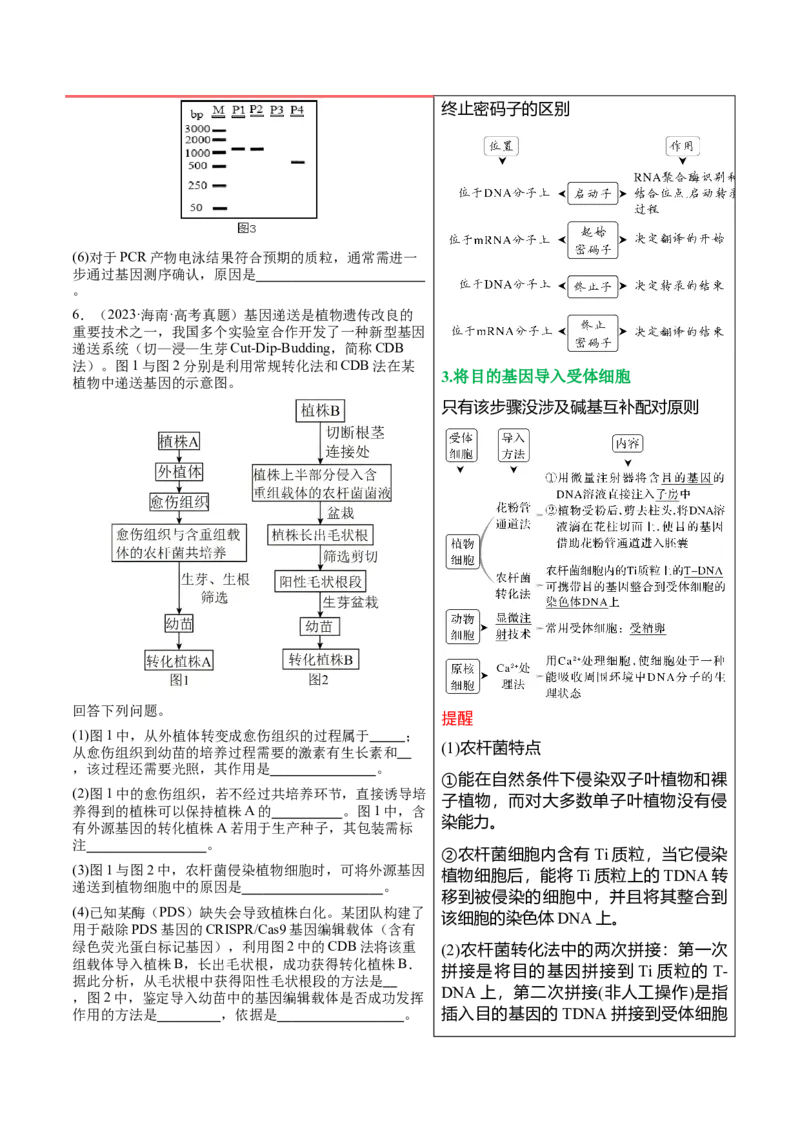 押新高考卷生物技术与工程（原卷版）-备战2024年高考生物临考题号押题（新高考通用）_2024年新高考资料_5.2024三轮冲刺_备战2024年高考生物临考题号押题（新高考通用）322745222_728