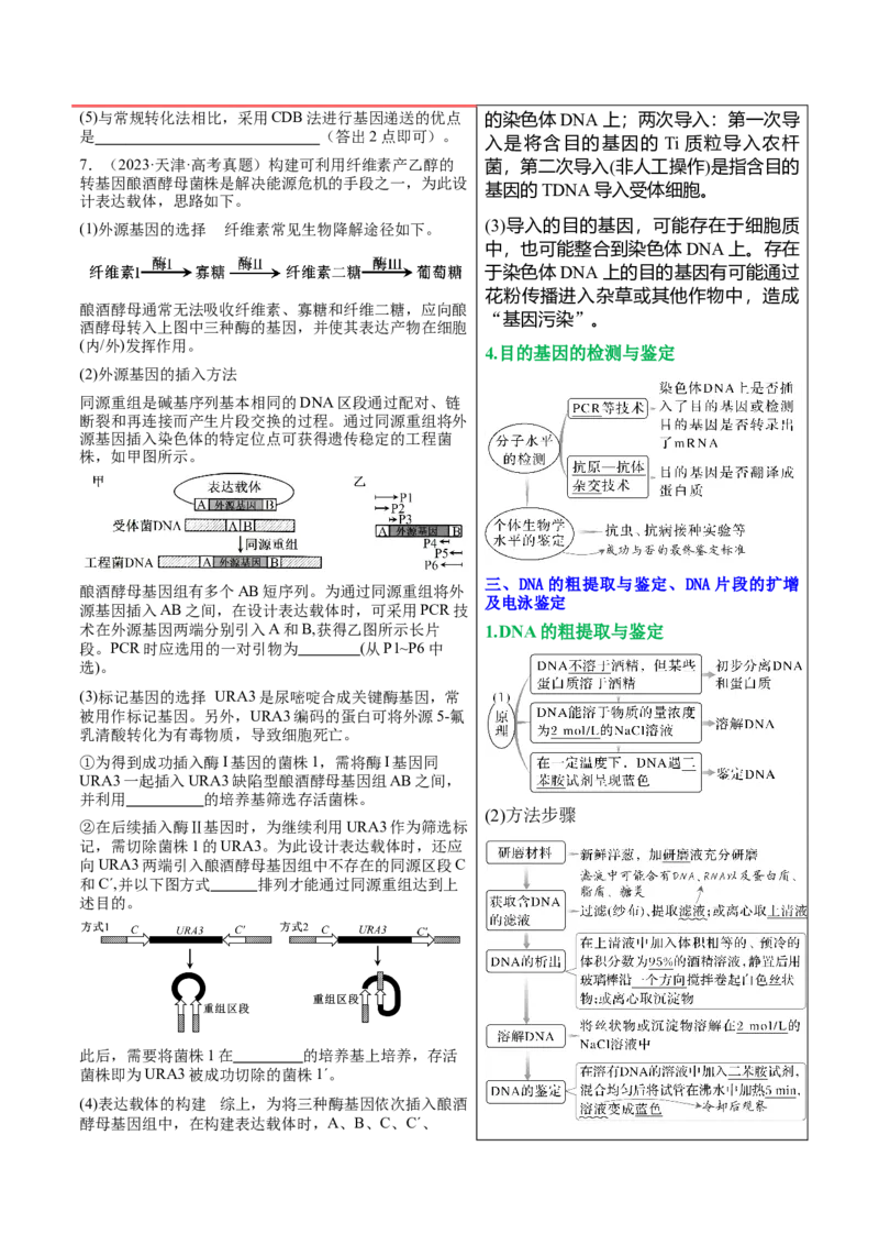 押新高考卷生物技术与工程（原卷版）-备战2024年高考生物临考题号押题（新高考通用）_2024年新高考资料_5.2024三轮冲刺_备战2024年高考生物临考题号押题（新高考通用）322745222_728