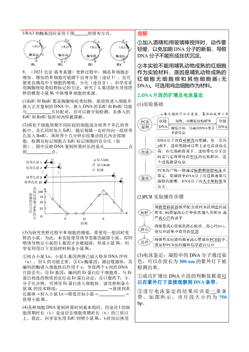 押新高考卷生物技术与工程（原卷版）-备战2024年高考生物临考题号押题（新高考通用）_2024年新高考资料_5.2024三轮冲刺_备战2024年高考生物临考题号押题（新高考通用）322745222_728