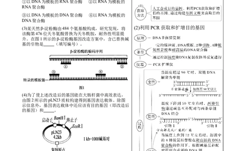 押新高考卷生物技术与工程（原卷版）-备战2024年高考生物临考题号押题（新高考通用）_2024年新高考资料_5.2024三轮冲刺_备战2024年高考生物临考题号押题（新高考通用）322745222_728