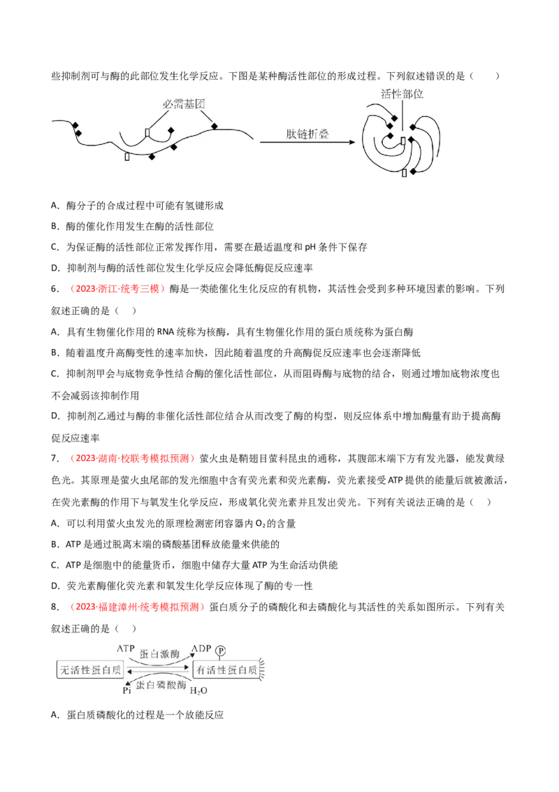 专题03酶与ATP（原卷版）_2024年新高考资料_3.2024专项复习_备战2024年高考生物一轮复习重难点突破讲解与训练（新教材）