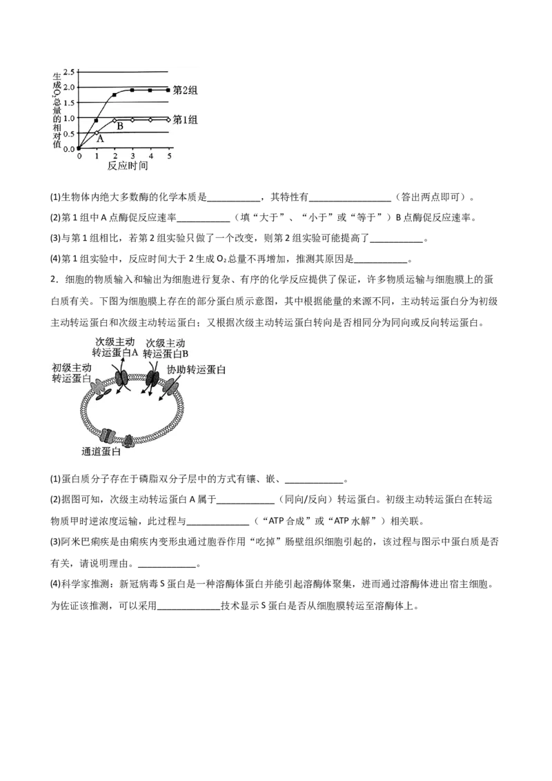 专题03酶与ATP（原卷版）_2024年新高考资料_3.2024专项复习_备战2024年高考生物一轮复习重难点突破讲解与训练（新教材）