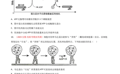 专题03酶与ATP（原卷版）_2024年新高考资料_3.2024专项复习_备战2024年高考生物一轮复习重难点突破讲解与训练（新教材）