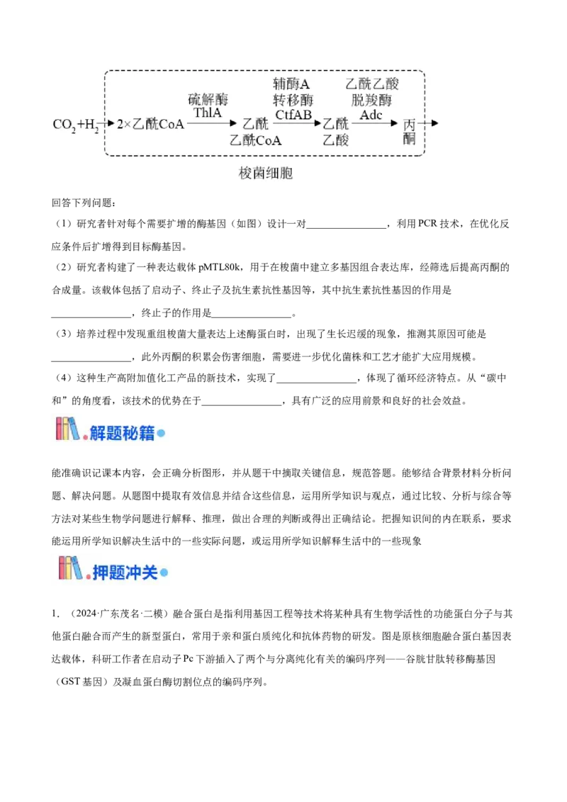 押广东卷第20题基因工程（原卷版）_2024年新高考资料_5.2024三轮冲刺_备战2024年高考生物临考题号押题（广东专用）323137816