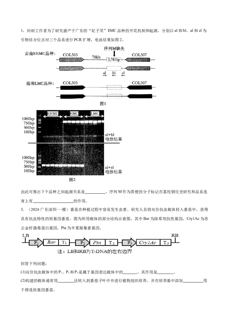 押广东卷第20题基因工程（原卷版）_2024年新高考资料_5.2024三轮冲刺_备战2024年高考生物临考题号押题（广东专用）323137816