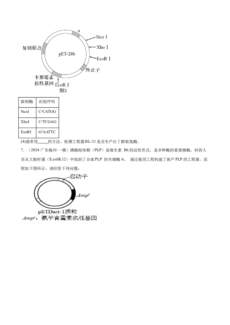 押广东卷第20题基因工程（原卷版）_2024年新高考资料_5.2024三轮冲刺_备战2024年高考生物临考题号押题（广东专用）323137816
