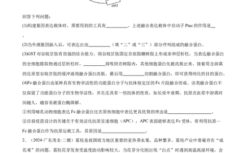 押广东卷第20题基因工程（原卷版）_2024年新高考资料_5.2024三轮冲刺_备战2024年高考生物临考题号押题（广东专用）323137816