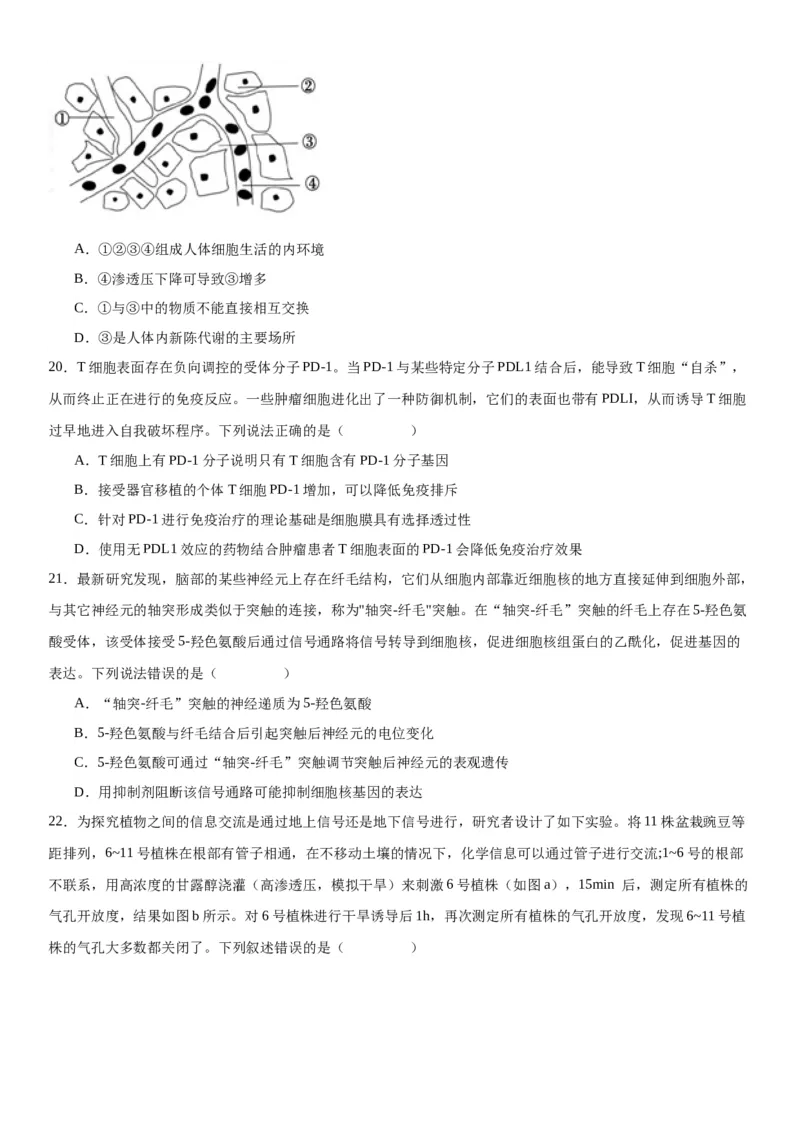 专题三稳态与调节（选择题特训）-2024年高考生物二轮复习专题训练（全国通用）（原卷版）_2024年新高考资料_2.2024二轮复习_2024年高考生物二轮复习专题训练（全国通用）