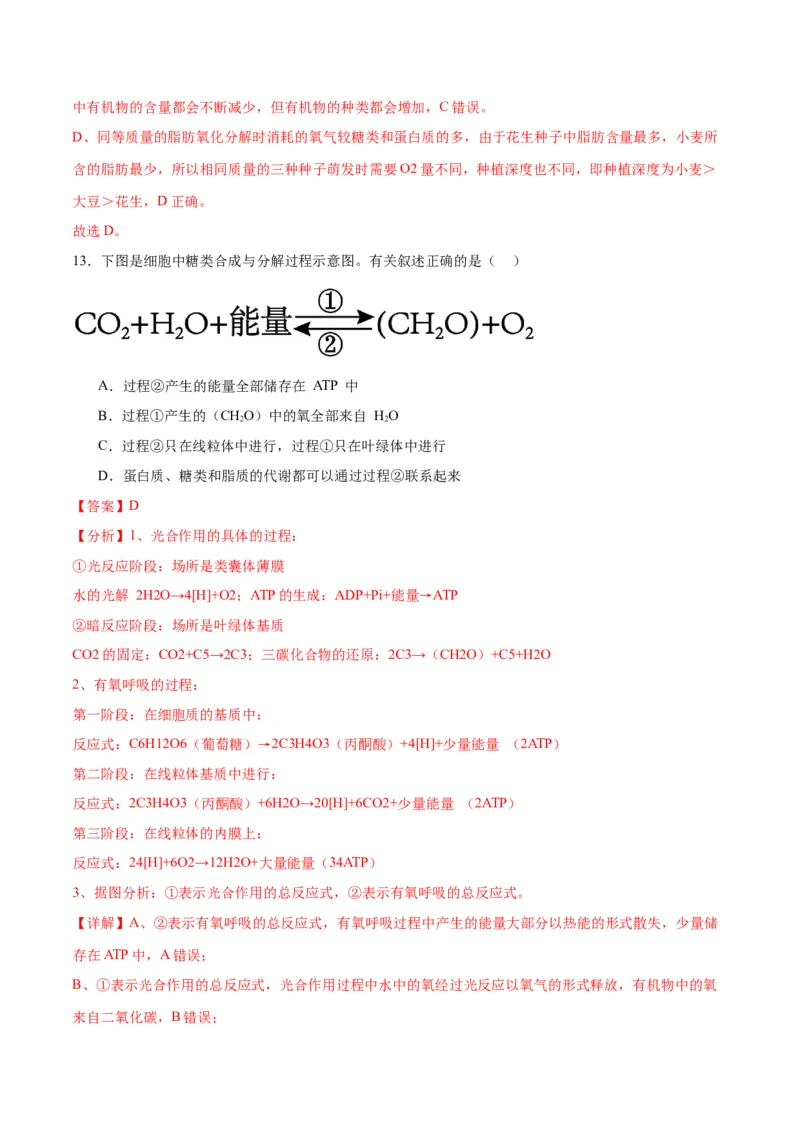 专题11细胞代谢综合分析（解析版)_2024年新高考资料_3.2024专项复习_备战2024年高考生物一轮复习重难点专项突破_专题11细胞代谢综合分析