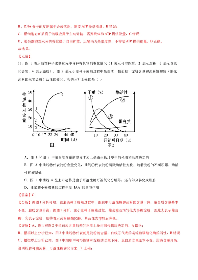 专题11细胞代谢综合分析（解析版)_2024年新高考资料_3.2024专项复习_备战2024年高考生物一轮复习重难点专项突破_专题11细胞代谢综合分析