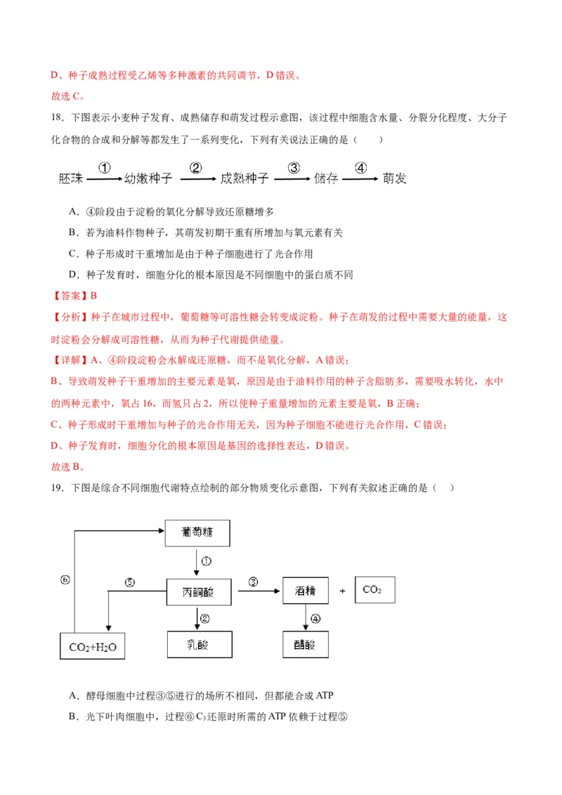 专题11细胞代谢综合分析（解析版)_2024年新高考资料_3.2024专项复习_备战2024年高考生物一轮复习重难点专项突破_专题11细胞代谢综合分析