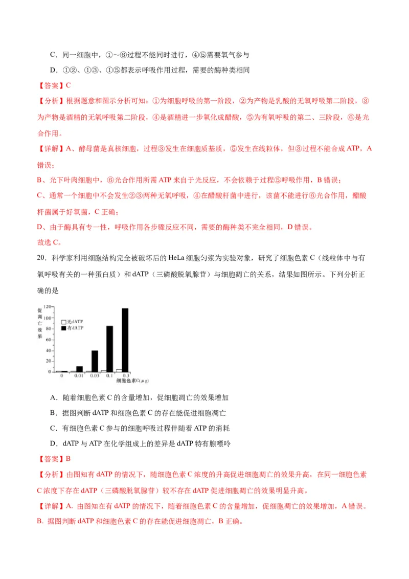 专题11细胞代谢综合分析（解析版)_2024年新高考资料_3.2024专项复习_备战2024年高考生物一轮复习重难点专项突破_专题11细胞代谢综合分析