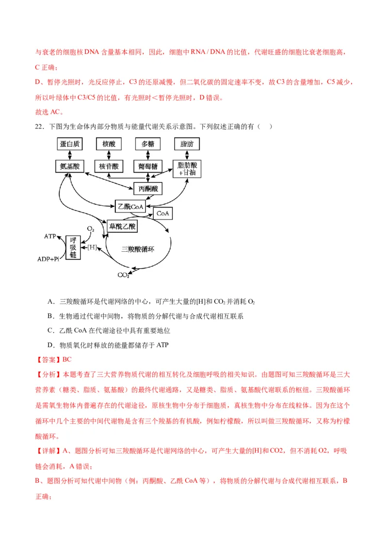 专题11细胞代谢综合分析（解析版)_2024年新高考资料_3.2024专项复习_备战2024年高考生物一轮复习重难点专项突破_专题11细胞代谢综合分析
