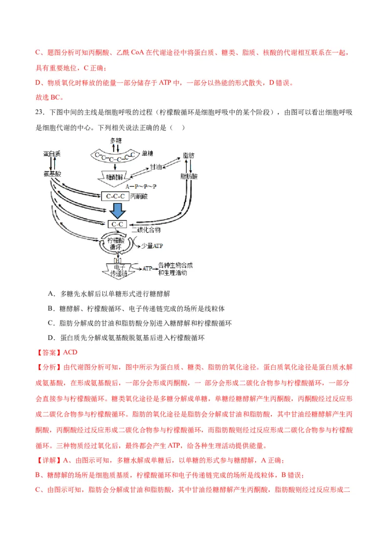 专题11细胞代谢综合分析（解析版)_2024年新高考资料_3.2024专项复习_备战2024年高考生物一轮复习重难点专项突破_专题11细胞代谢综合分析