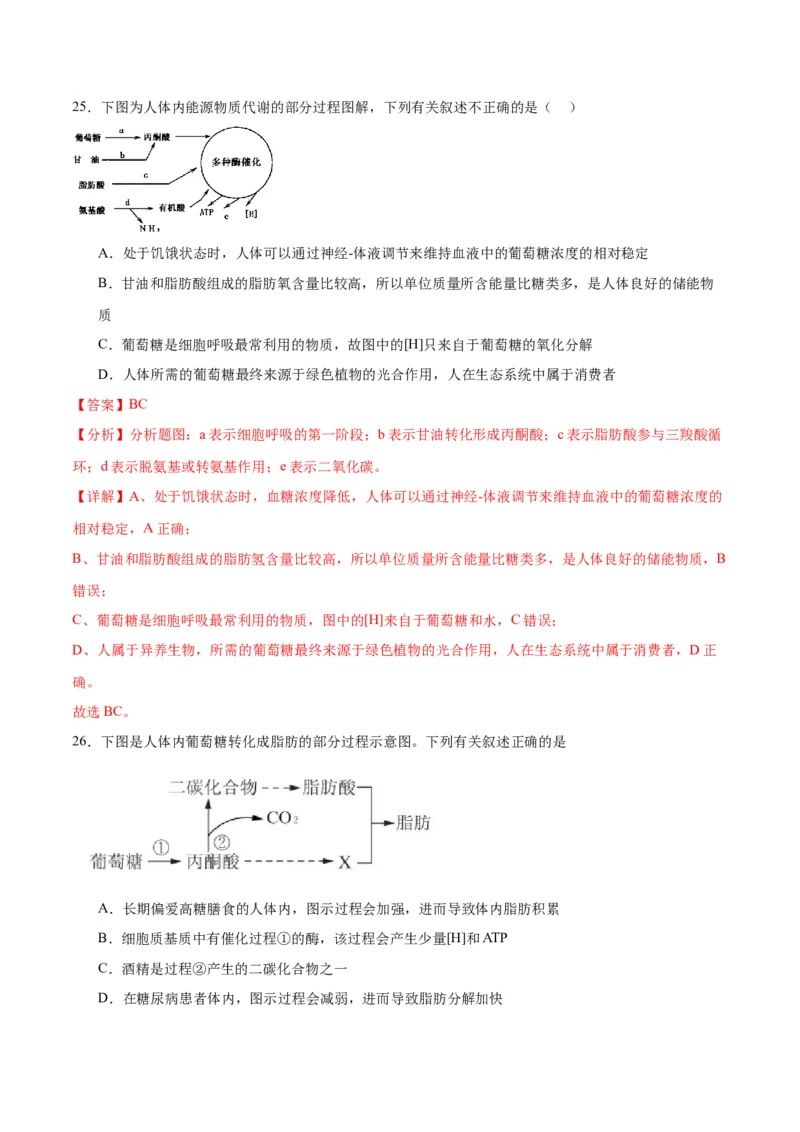 专题11细胞代谢综合分析（解析版)_2024年新高考资料_3.2024专项复习_备战2024年高考生物一轮复习重难点专项突破_专题11细胞代谢综合分析