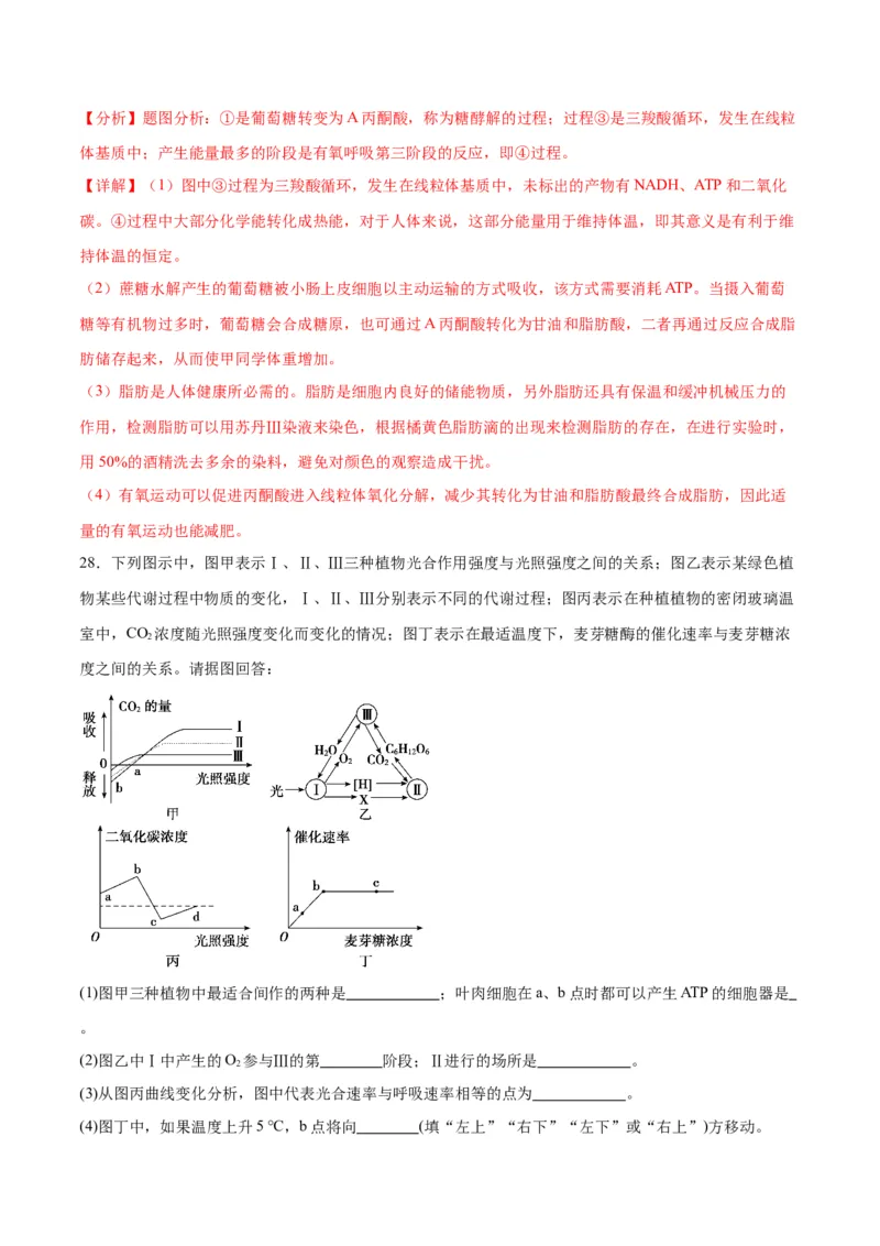 专题11细胞代谢综合分析（解析版)_2024年新高考资料_3.2024专项复习_备战2024年高考生物一轮复习重难点专项突破_专题11细胞代谢综合分析