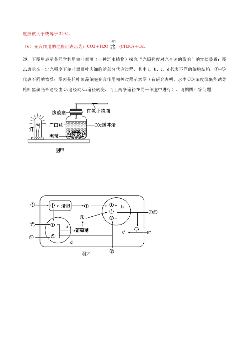 专题11细胞代谢综合分析（解析版)_2024年新高考资料_3.2024专项复习_备战2024年高考生物一轮复习重难点专项突破_专题11细胞代谢综合分析