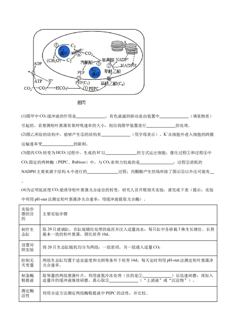 专题11细胞代谢综合分析（解析版)_2024年新高考资料_3.2024专项复习_备战2024年高考生物一轮复习重难点专项突破_专题11细胞代谢综合分析