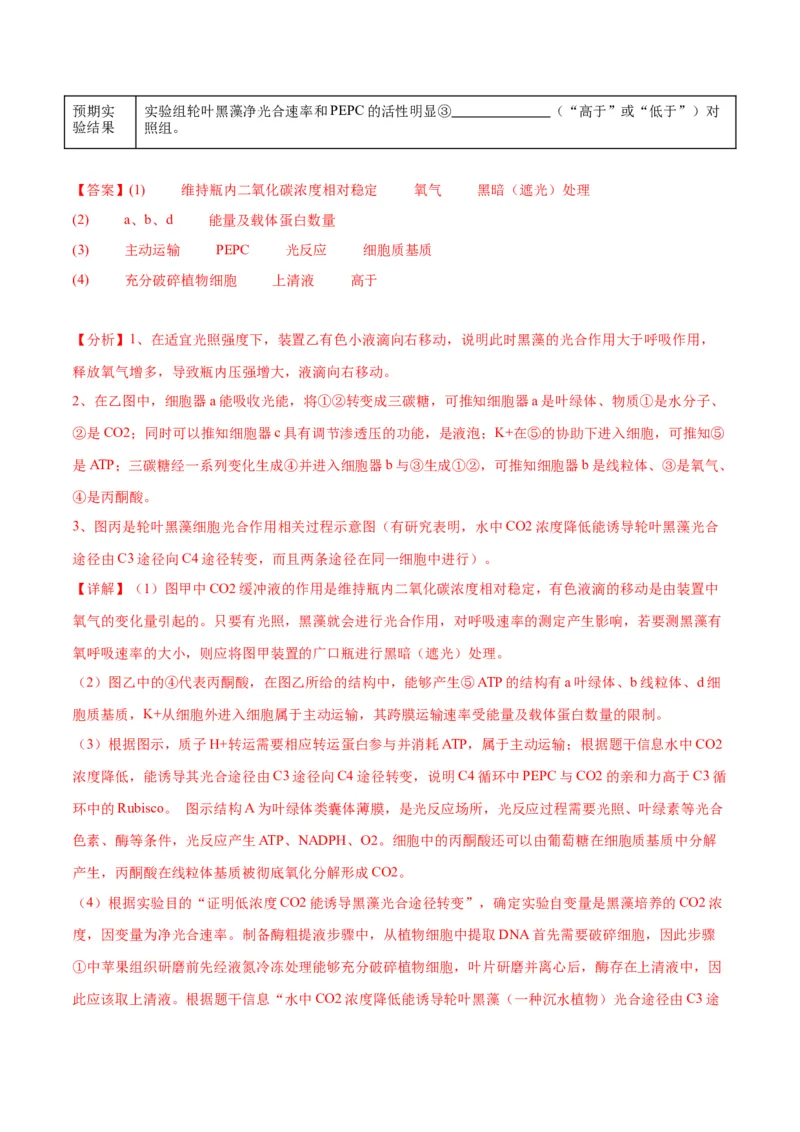 专题11细胞代谢综合分析（解析版)_2024年新高考资料_3.2024专项复习_备战2024年高考生物一轮复习重难点专项突破_专题11细胞代谢综合分析