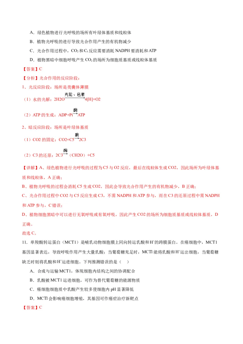 专题11细胞代谢综合分析（解析版)_2024年新高考资料_3.2024专项复习_备战2024年高考生物一轮复习重难点专项突破_专题11细胞代谢综合分析
