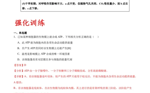 专题11细胞代谢综合分析（解析版)_2024年新高考资料_3.2024专项复习_备战2024年高考生物一轮复习重难点专项突破_专题11细胞代谢综合分析