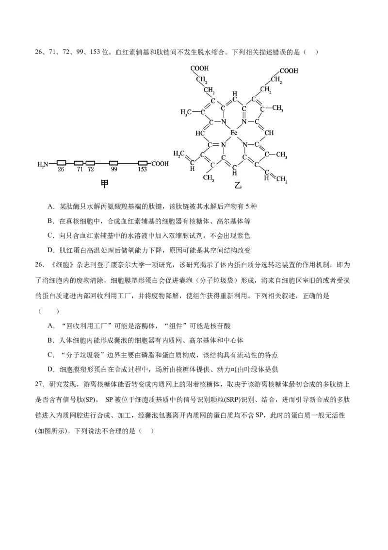 专题6细胞器和生物膜系统（原卷版)_2024年新高考资料_3.2024专项复习_备战2024年高考生物一轮复习重难点专项突破_专题06细胞器和生物膜系统-备战2024年高考生物一轮复习重难点专项突破