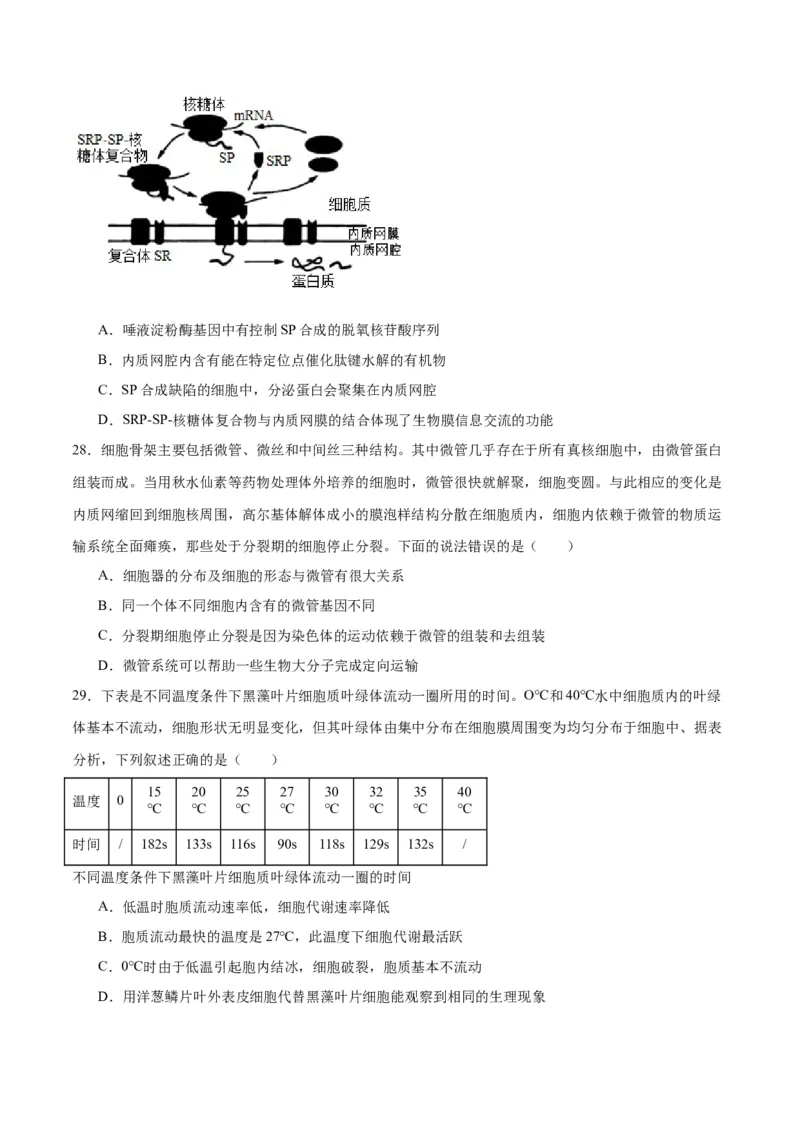 专题6细胞器和生物膜系统（原卷版)_2024年新高考资料_3.2024专项复习_备战2024年高考生物一轮复习重难点专项突破_专题06细胞器和生物膜系统-备战2024年高考生物一轮复习重难点专项突破