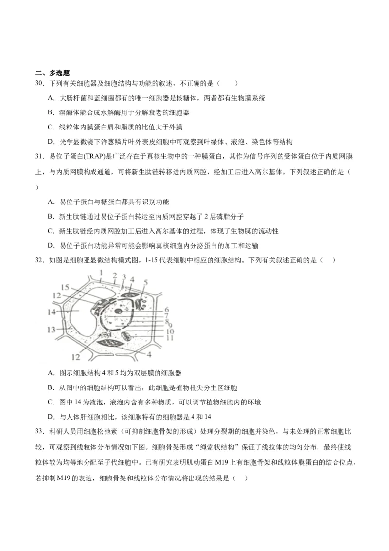 专题6细胞器和生物膜系统（原卷版)_2024年新高考资料_3.2024专项复习_备战2024年高考生物一轮复习重难点专项突破_专题06细胞器和生物膜系统-备战2024年高考生物一轮复习重难点专项突破