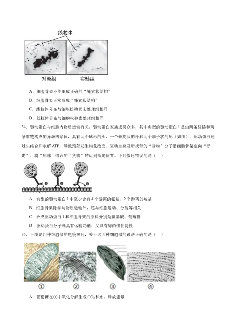 专题6细胞器和生物膜系统（原卷版)_2024年新高考资料_3.2024专项复习_备战2024年高考生物一轮复习重难点专项突破_专题06细胞器和生物膜系统-备战2024年高考生物一轮复习重难点专项突破