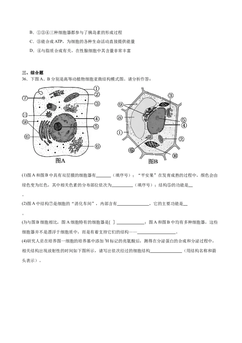 专题6细胞器和生物膜系统（原卷版)_2024年新高考资料_3.2024专项复习_备战2024年高考生物一轮复习重难点专项突破_专题06细胞器和生物膜系统-备战2024年高考生物一轮复习重难点专项突破