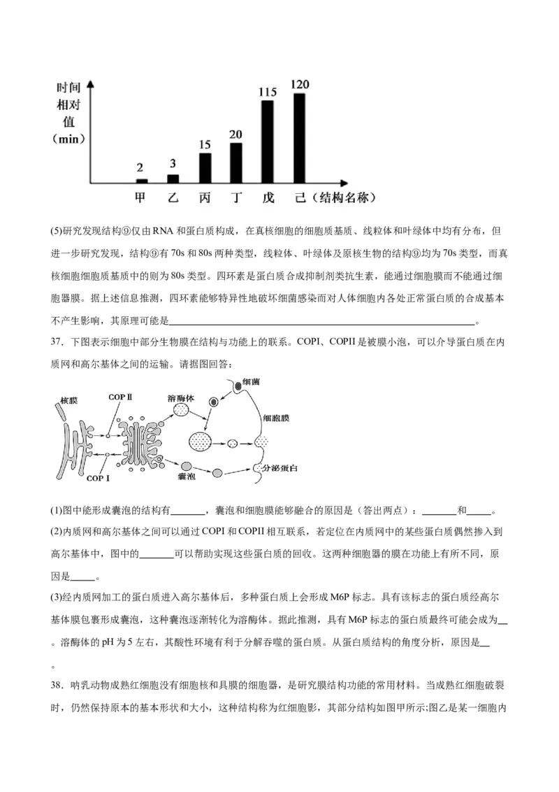 专题6细胞器和生物膜系统（原卷版)_2024年新高考资料_3.2024专项复习_备战2024年高考生物一轮复习重难点专项突破_专题06细胞器和生物膜系统-备战2024年高考生物一轮复习重难点专项突破