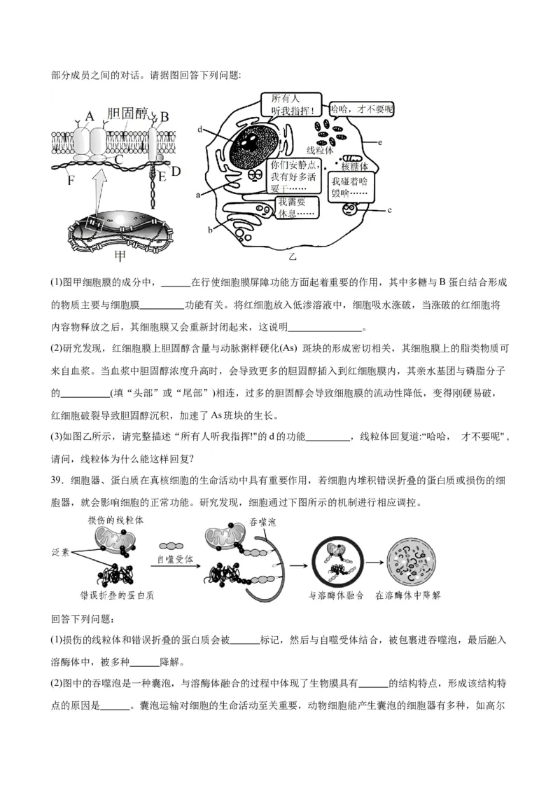 专题6细胞器和生物膜系统（原卷版)_2024年新高考资料_3.2024专项复习_备战2024年高考生物一轮复习重难点专项突破_专题06细胞器和生物膜系统-备战2024年高考生物一轮复习重难点专项突破