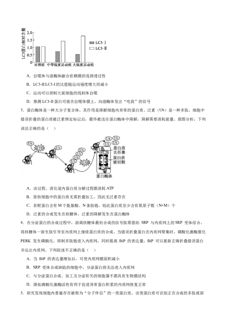 专题6细胞器和生物膜系统（原卷版)_2024年新高考资料_3.2024专项复习_备战2024年高考生物一轮复习重难点专项突破_专题06细胞器和生物膜系统-备战2024年高考生物一轮复习重难点专项突破